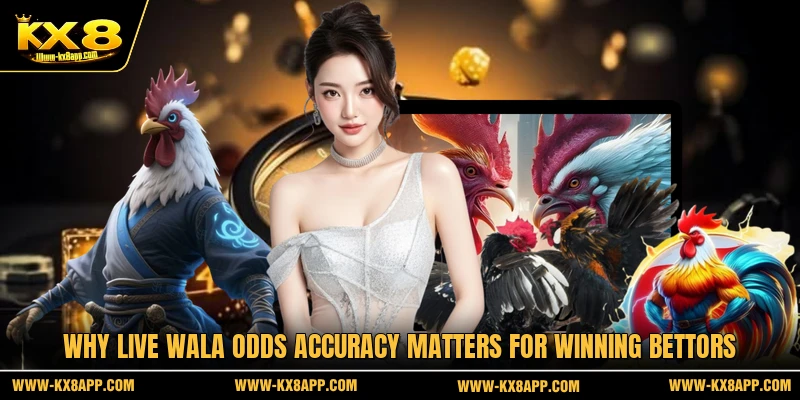 Why Live Wala odds accuracy matters for winning bettors